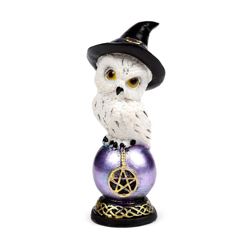 Load image into Gallery viewer, Wise old magical owl op regenboogglans uil
