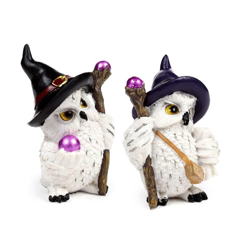 Load image into Gallery viewer, Wise old magical owl op magische reis
