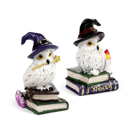 Wise old magical owl op spreukenboek