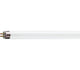 Philips tl buis 39w 830 master tl5 high output warml wit | 20 stuks