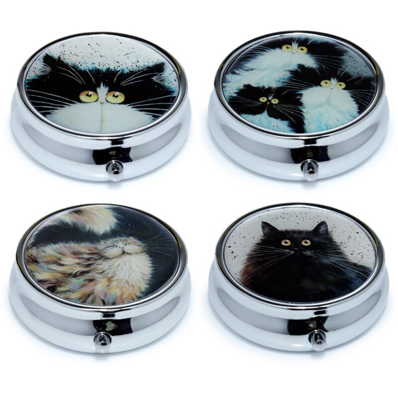 Load image into Gallery viewer, Kim haskins katten pillendoosje
