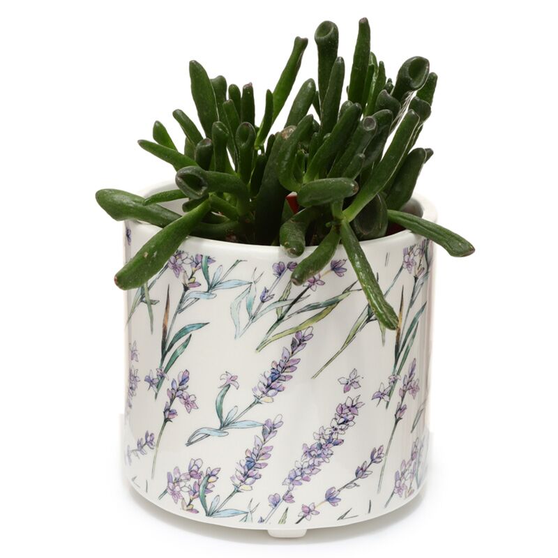 Load image into Gallery viewer, Pick of the bunch lavendel velden staande bloempot binnen - large
