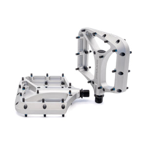 Praxis pedalen brodium g2 zilver