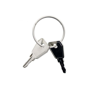 Thule Yepp sleutel Nexxt P0 2 stuks