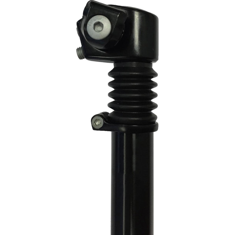 Load image into Gallery viewer, geveerde zadelpen ATB , 2 bouts bevestiging. 27.2 zwart 300mm
