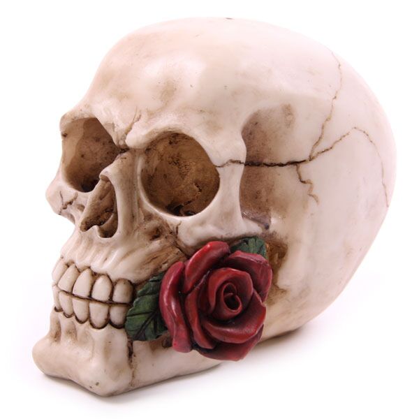 Load image into Gallery viewer, Schedel met rozen woonaccessoire
