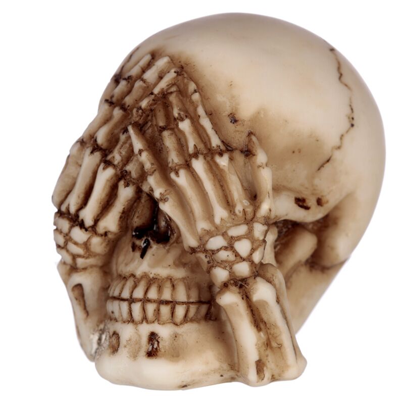 Load image into Gallery viewer, Set van 3 horen zien zwijgen schedels small woonaccessoire
