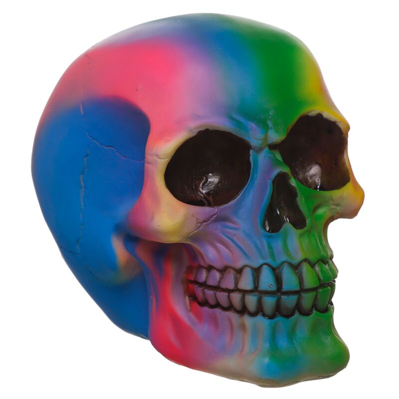 Load image into Gallery viewer, Regenboog schedel woonaccessoire

