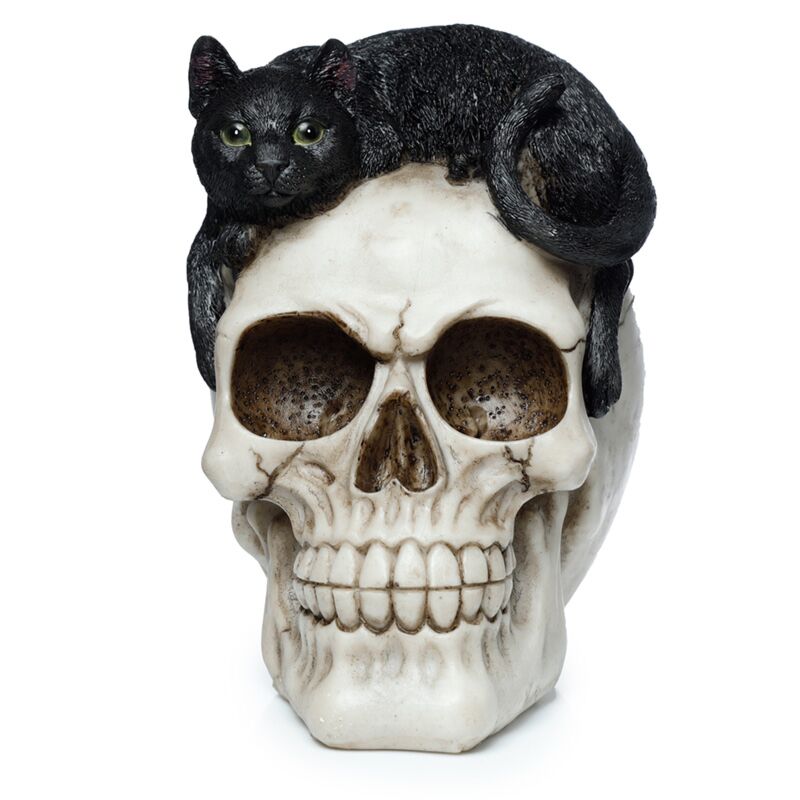 Load image into Gallery viewer, Schedel met zwarte kat woonaccessoire
