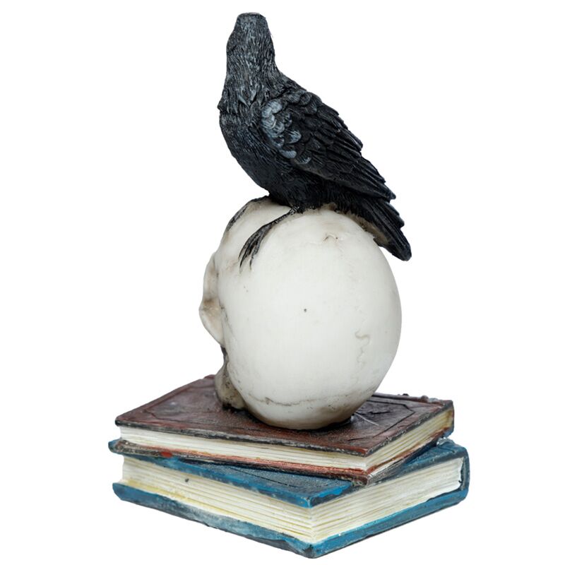 Load image into Gallery viewer, Kraai op schedels boeken woonaccessoire
