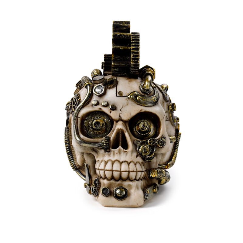 Load image into Gallery viewer, Steampunk stijl schedel met tandwielen en veren woonaccessoire
