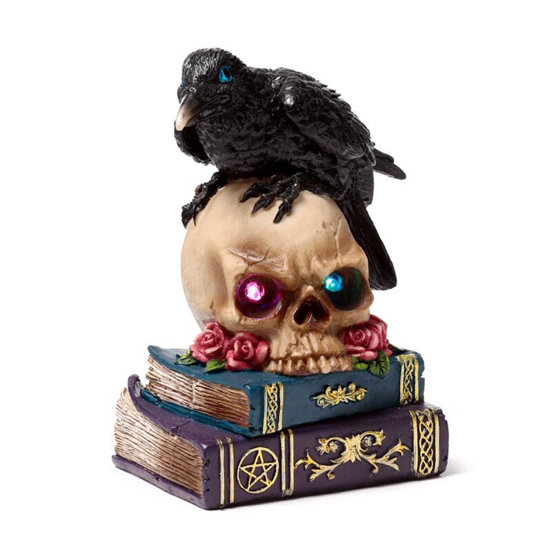 Load image into Gallery viewer, Crow perched on led skull books
