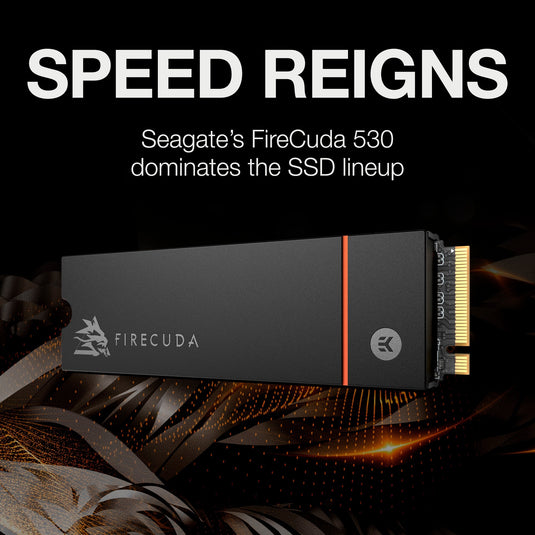 Seagate FireCuda 530 500 GB met heatsink