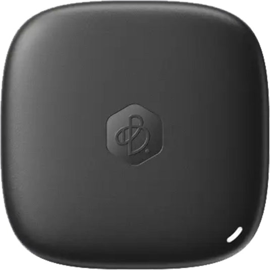 Synology BeeDrive 1 TB