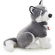 Husky Marcus 34cm