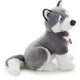 Husky Marcus 34cm