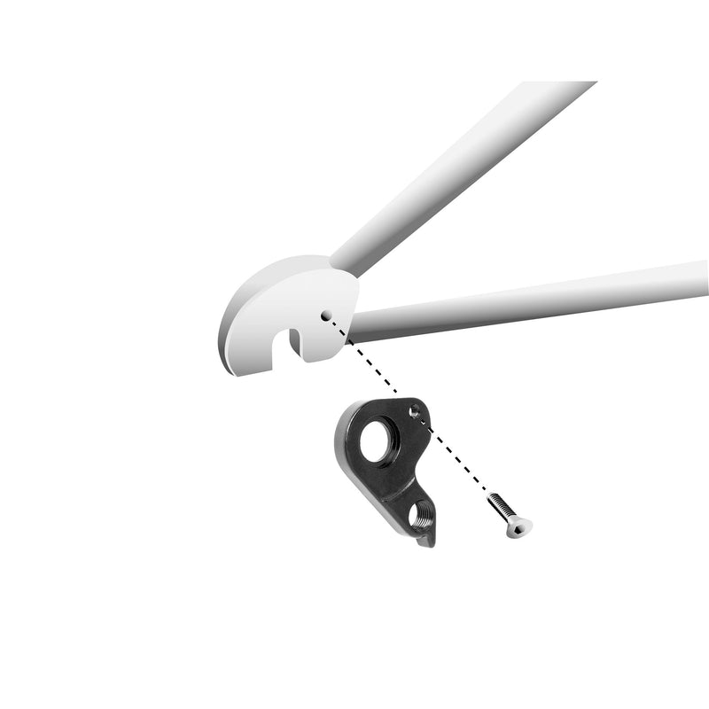 Load image into Gallery viewer, Union schaltauge derailleur hangers gh-313 screws included
