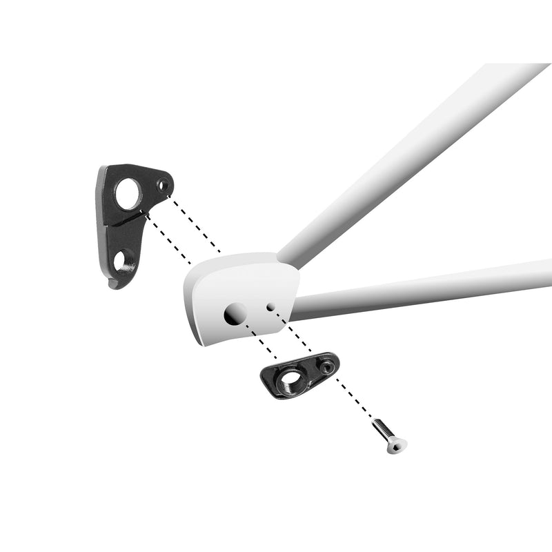 Load image into Gallery viewer, Union derailleurpad gh-317 ghost, lapierre
