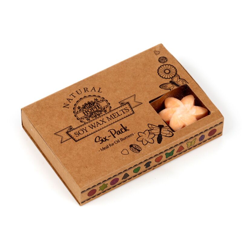 Load image into Gallery viewer, Mango fruit set van 6 waxmelts
