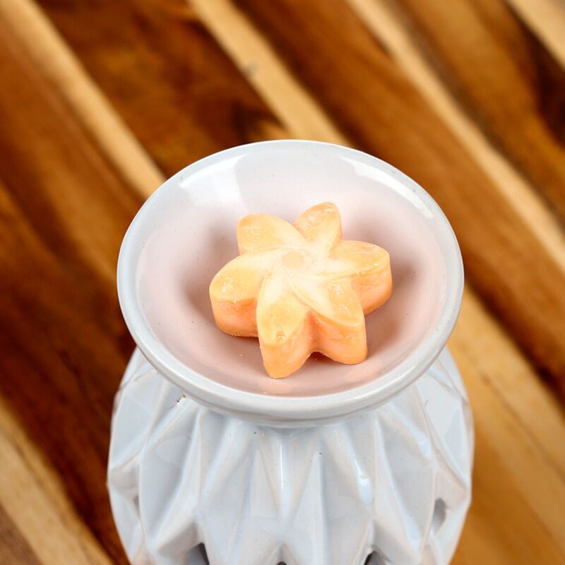 Load image into Gallery viewer, Mango fruit set van 6 waxmelts

