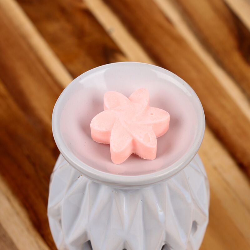 Load image into Gallery viewer, Japanse magnolia set van 6 waxmelts
