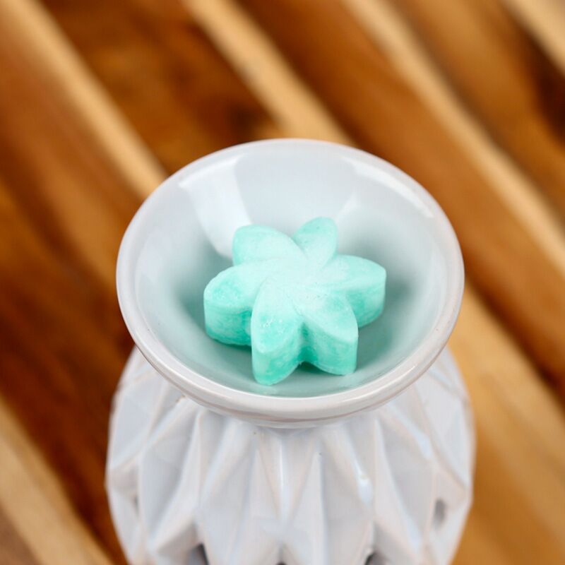 Load image into Gallery viewer, Geheime tuin set van 6 waxmelts
