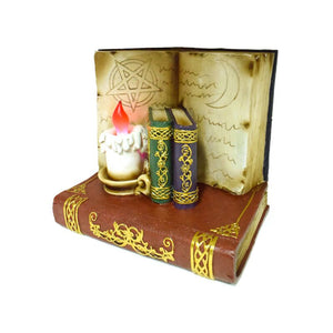 Witches black cat wise old magical owl led display