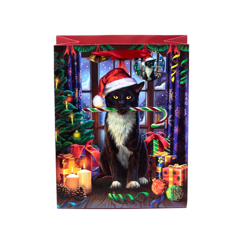 Load image into Gallery viewer, Lisa parker christmas krampus kat cadeautasje large
