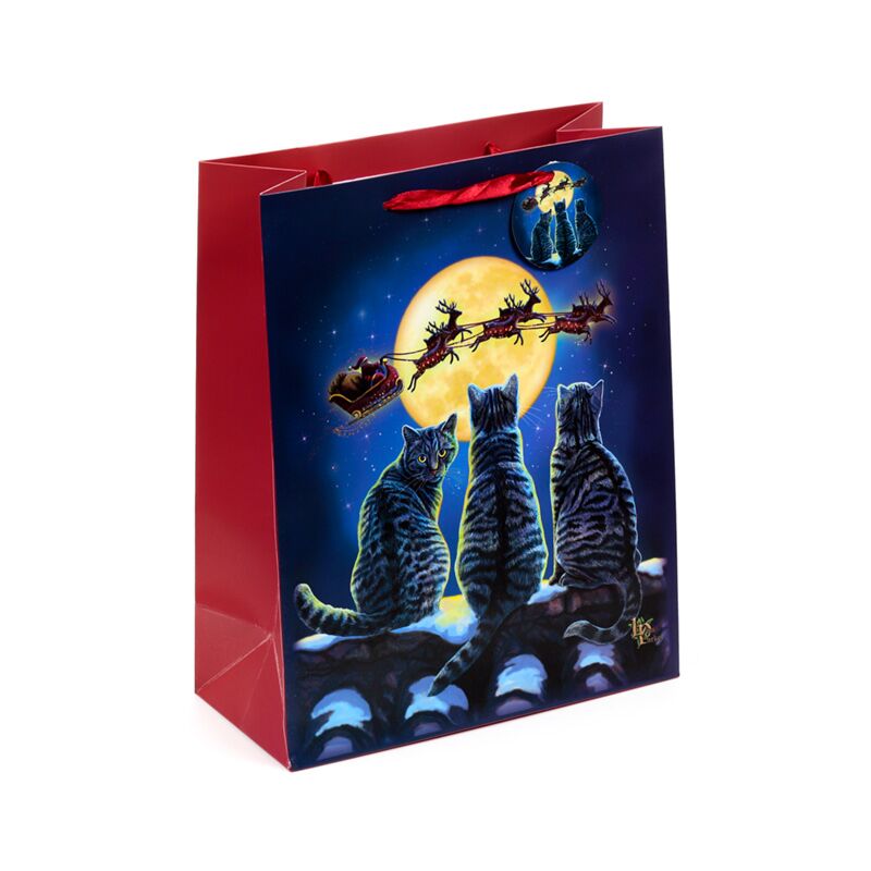 Load image into Gallery viewer, Lisa parker kerstmis katten cadeautasje large
