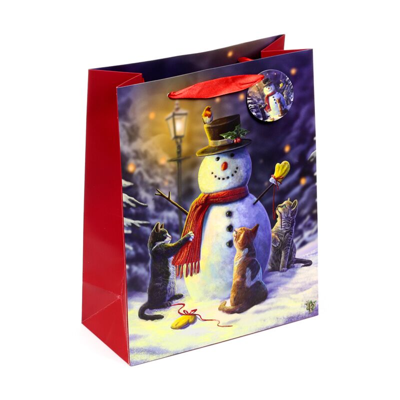 ギャラリービューアに画像をロードする, Lisa parker kerstmis katten cadeautasje large
