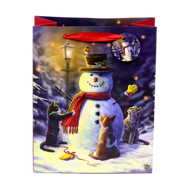 ギャラリービューアに画像をロードする, Lisa parker kerstmis katten cadeautasje large

