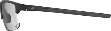 Alpina eagle v - sports glasses