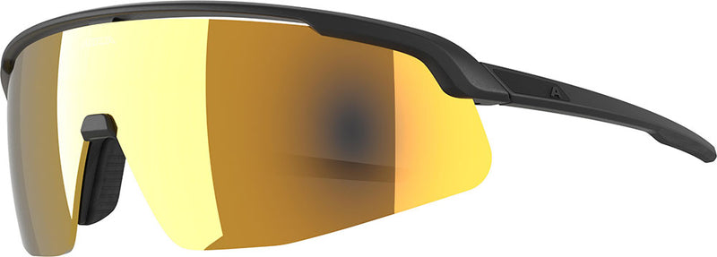 Load image into Gallery viewer, Alpina turbo pro s q - sports glasses
