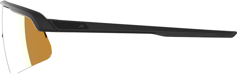 Load image into Gallery viewer, Alpina turbo pro s q - sports glasses
