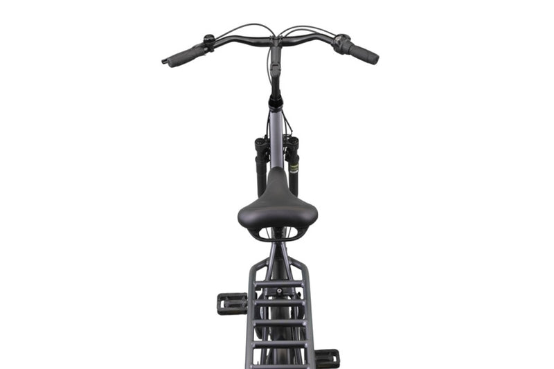 Load image into Gallery viewer, Altec delta 28 inch 50 cm dames 3v rollerbrake matgrijs

