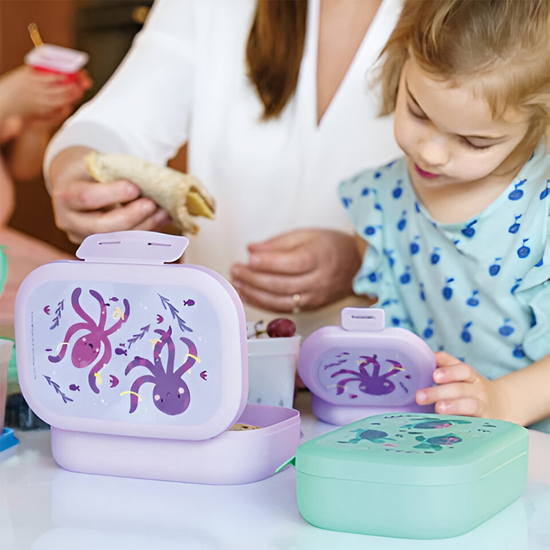 Chargez l'image dans la visionneuse de la galerie, Amuse snackbox small rond paars octopus
