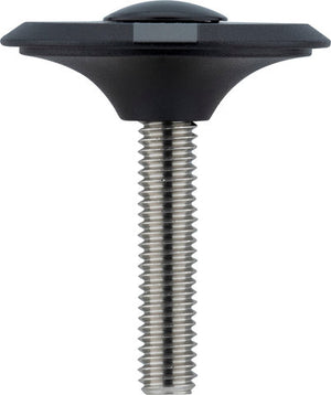 Ritchey comp top cap