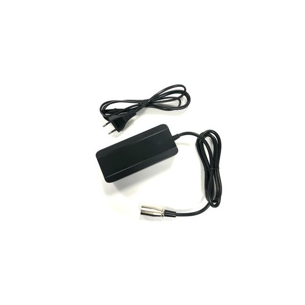 Load image into Gallery viewer, Van beijck acculader li-ion smartlader universeel tulp coax 36 volt 2 ah
