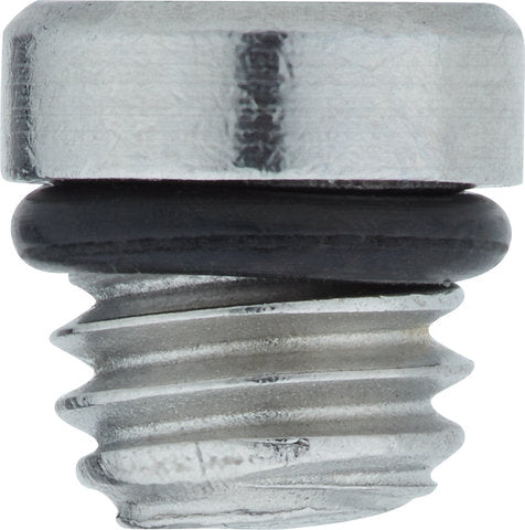 Formula bleeding grub screw for cura cura e