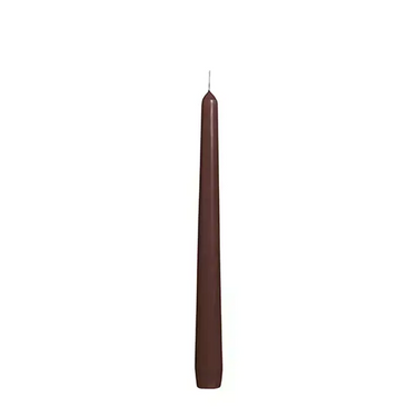 Bolsius gotische kaars kastanjebruin 245 24mm