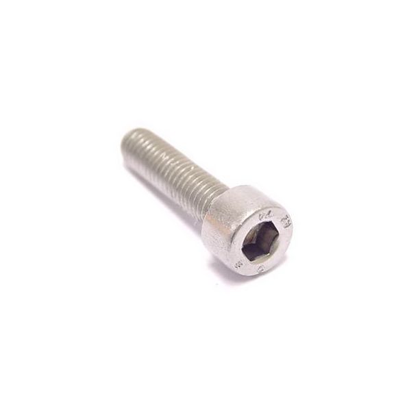 Laden Sie das Bild in Galerie -Viewer, Bofix Inbusbout M5 x 30 RVS (25 stuks)
