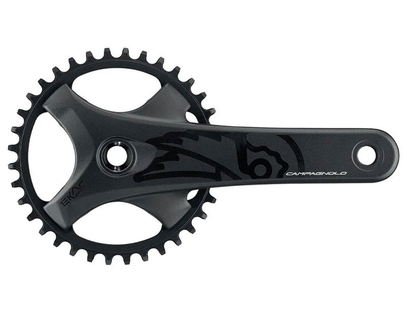 Load image into Gallery viewer, Campagnolo ekar gt 1x13-speed crankset 38t | 175mm
