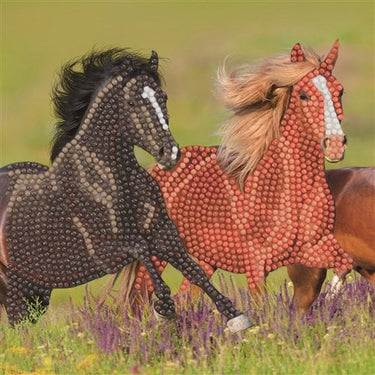 Van der doelen diamond painting - kaart met paarden - 18x18 cm