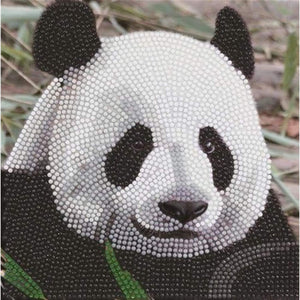 Brandunit diamond painting - kaart reuzenpanda