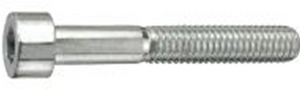 Connex binnenzeskantbout cy m10x100 * 2 vz - ky4121100