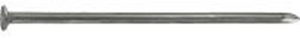 Connex nagel platte kop 4.2x120 fe - ds1014120