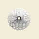 Spanninga sunrace cassette csrz800 12v 11-46t zilver