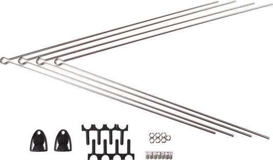 Sks stay set for chromoplastics