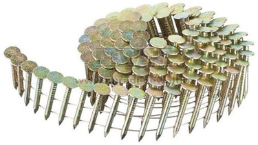 Dewalt accessoires [dnr] rolspijkers | 3.05-19 | g12 hot dip | gegalvaniseerd voor roofing - dnr3119hdz