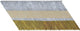 Dewalt accessoires papiergebonden nagels 3.1-75 geringd thermisch verzinkt 1.2m - dnpt31r75hdz